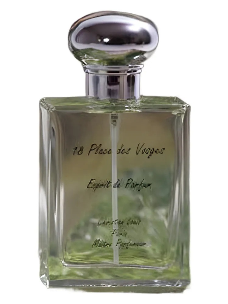 18 Place des Vosges thumbnail 4