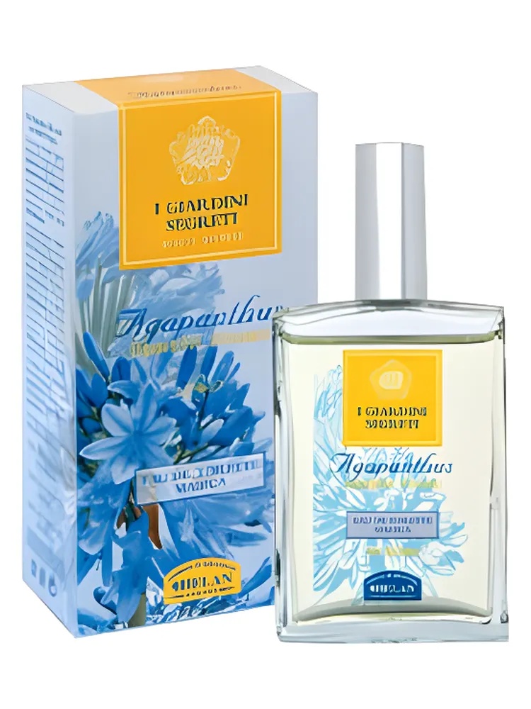 Miniatura 4 de Agapanthus