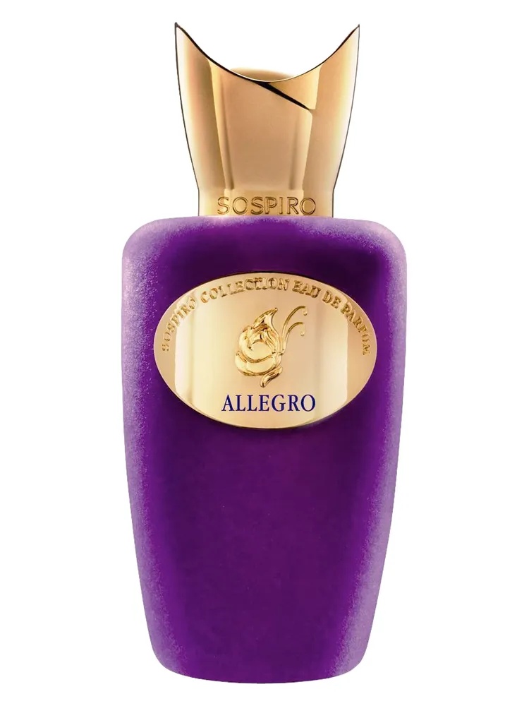 Allegro thumbnail 4