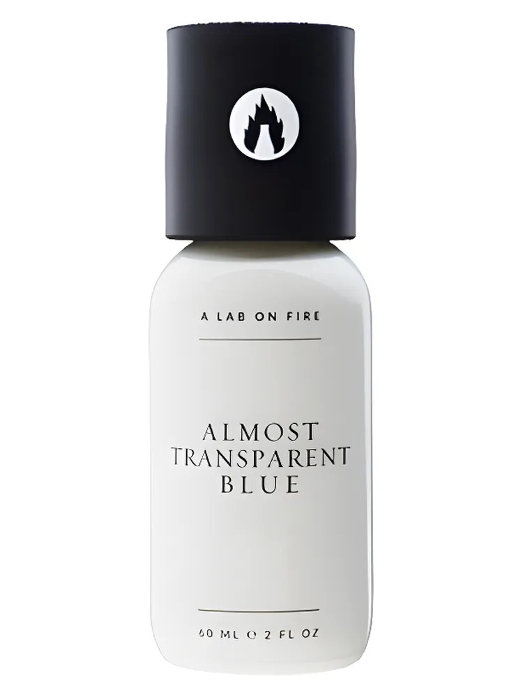 Miniatura 4 de Almost Transparent Blue