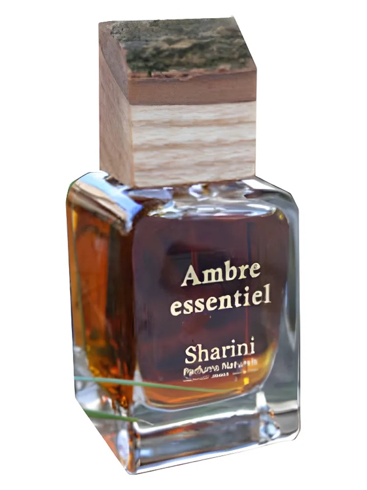Ambre Essentiel thumbnail 4