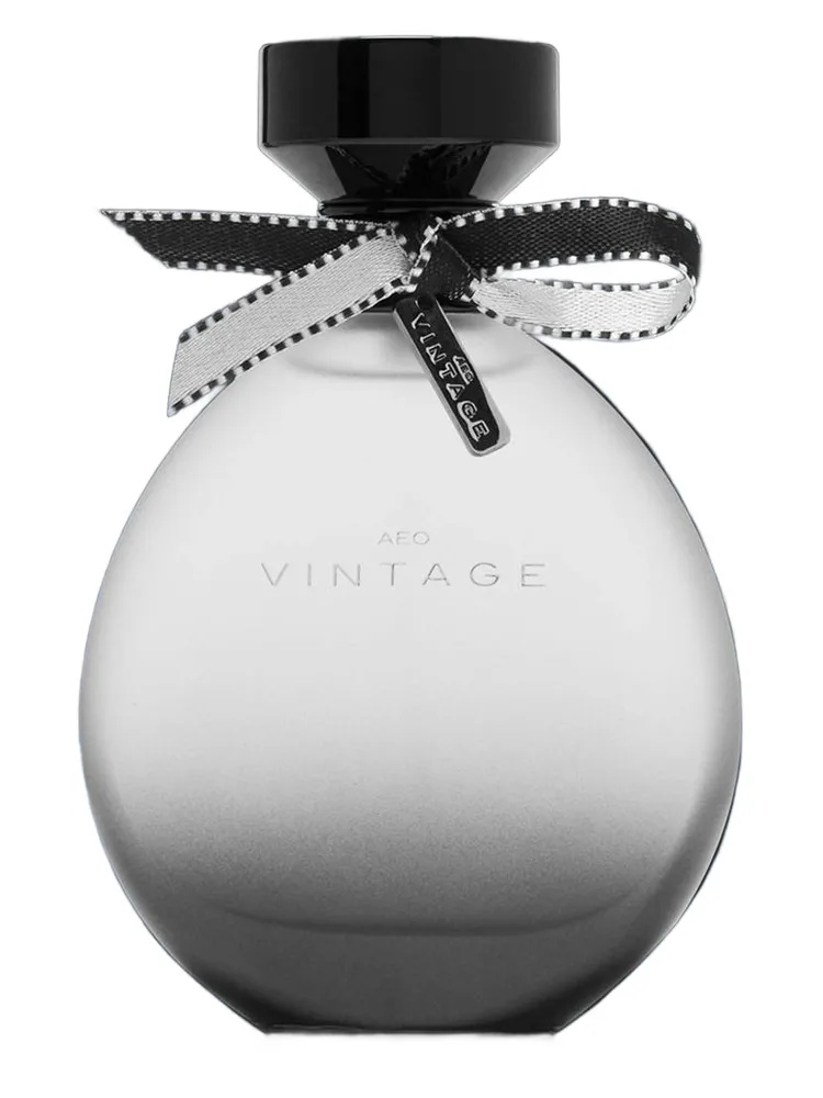 American Eagle AEO Vintage