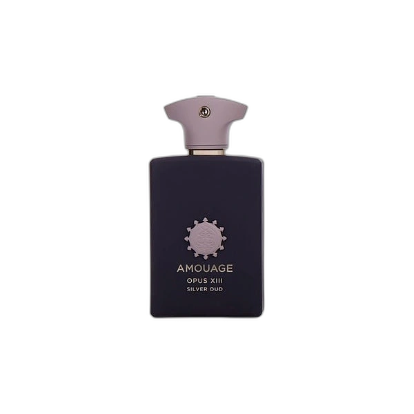 Library Opus Xiii Silver Oud — Amouage