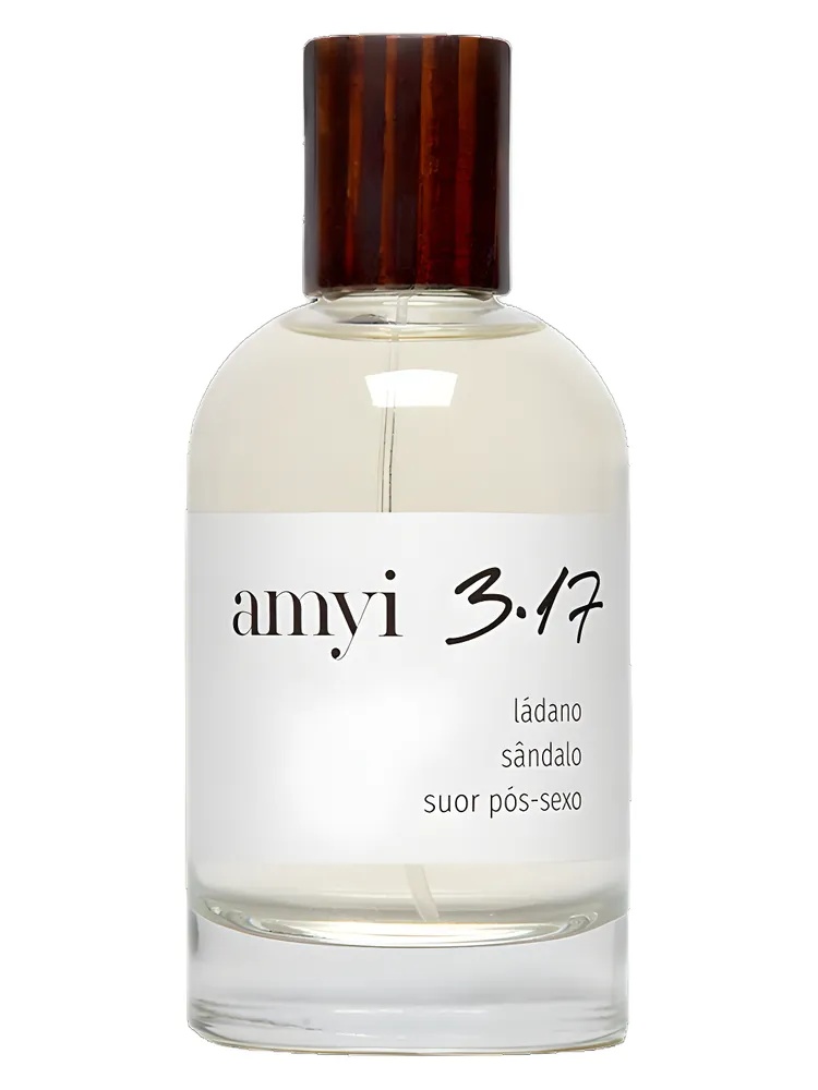 Amyi 3.17