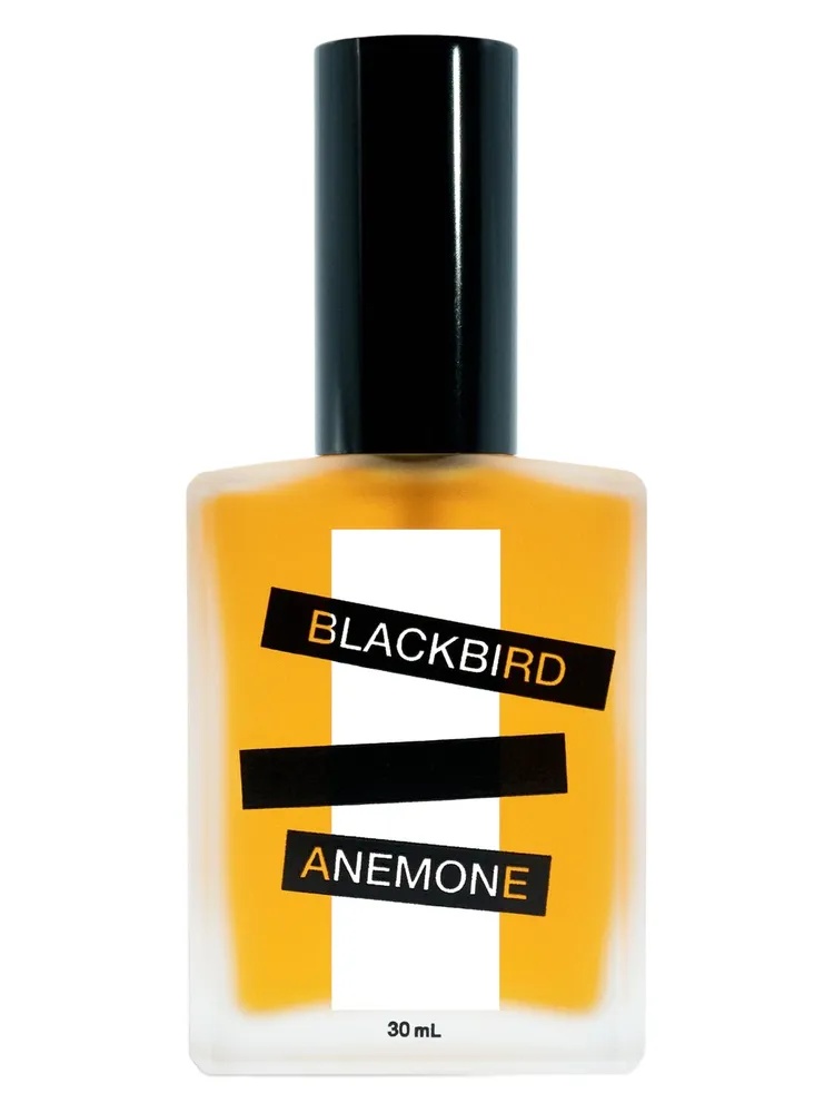 Anemone thumbnail 4