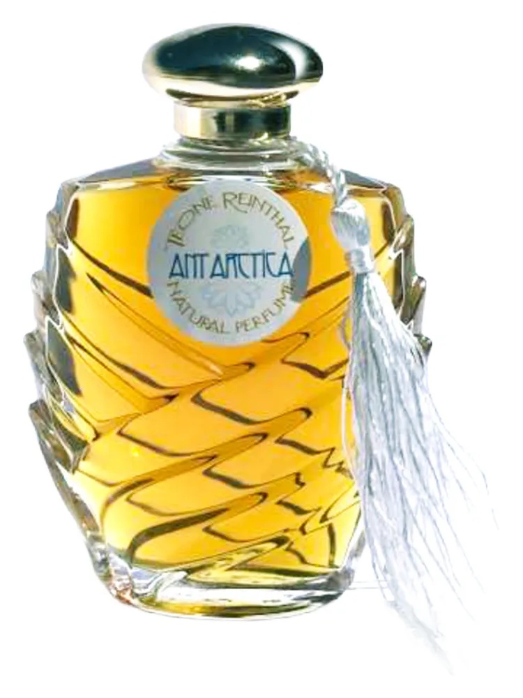 Antarctica thumbnail 4