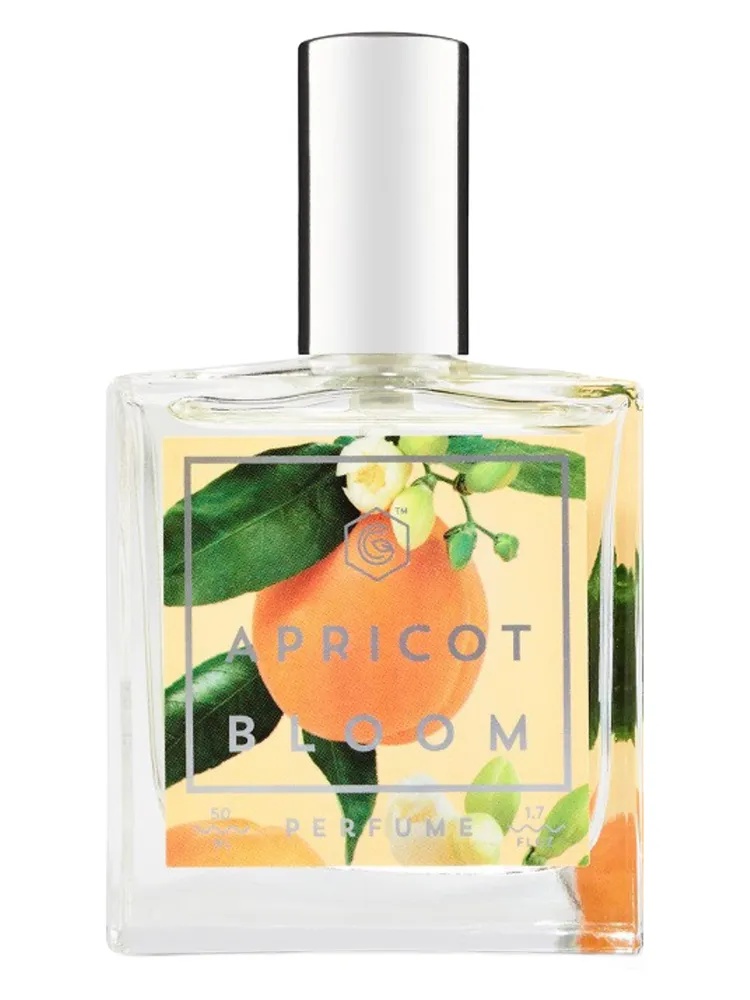 Miniatura 4 de Apricot Bloom