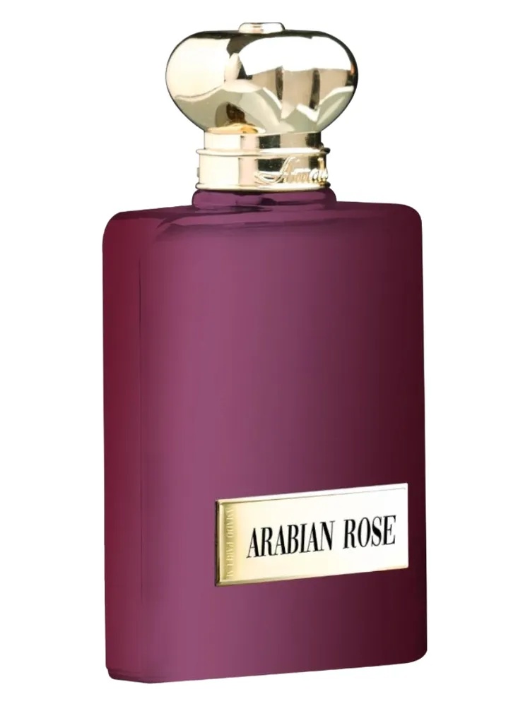 Arabian Rose