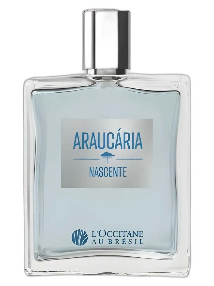 Araucaria Nascente L'Occitane Au Bresil — L’Occitane Au Brésil