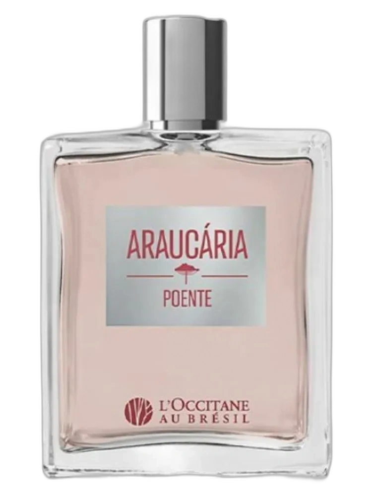 Araucaria Poente L'Occitane Au Bresil — L’Occitane Au Brésil