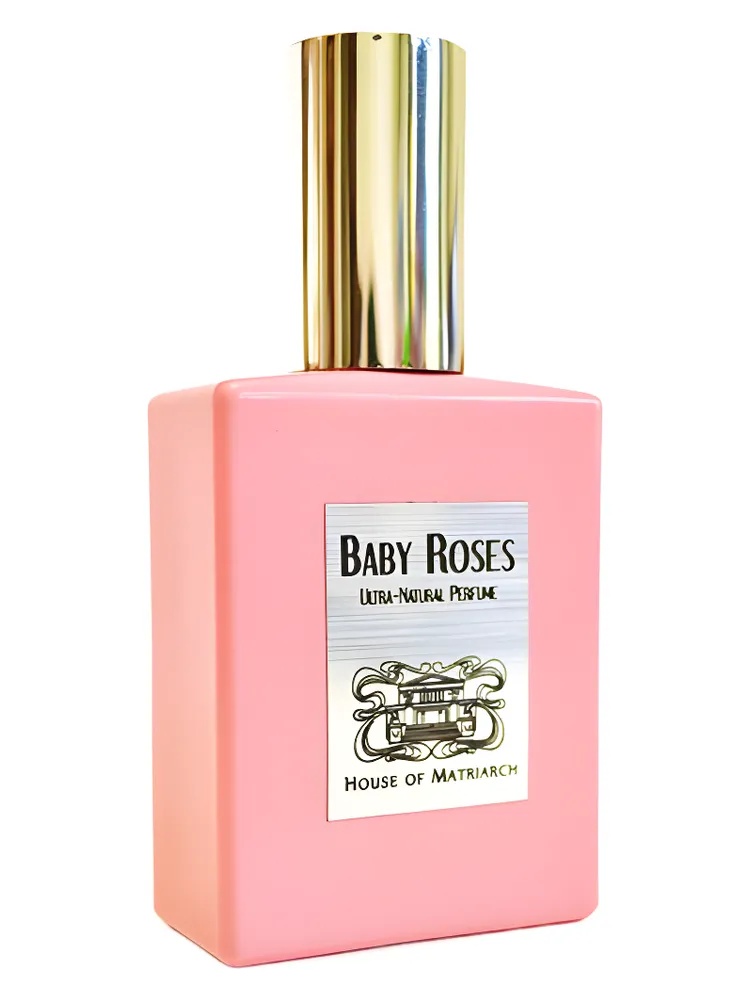 Baby Roses thumbnail 4