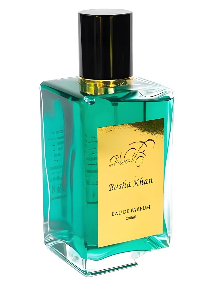 Basha Khan thumbnail 4