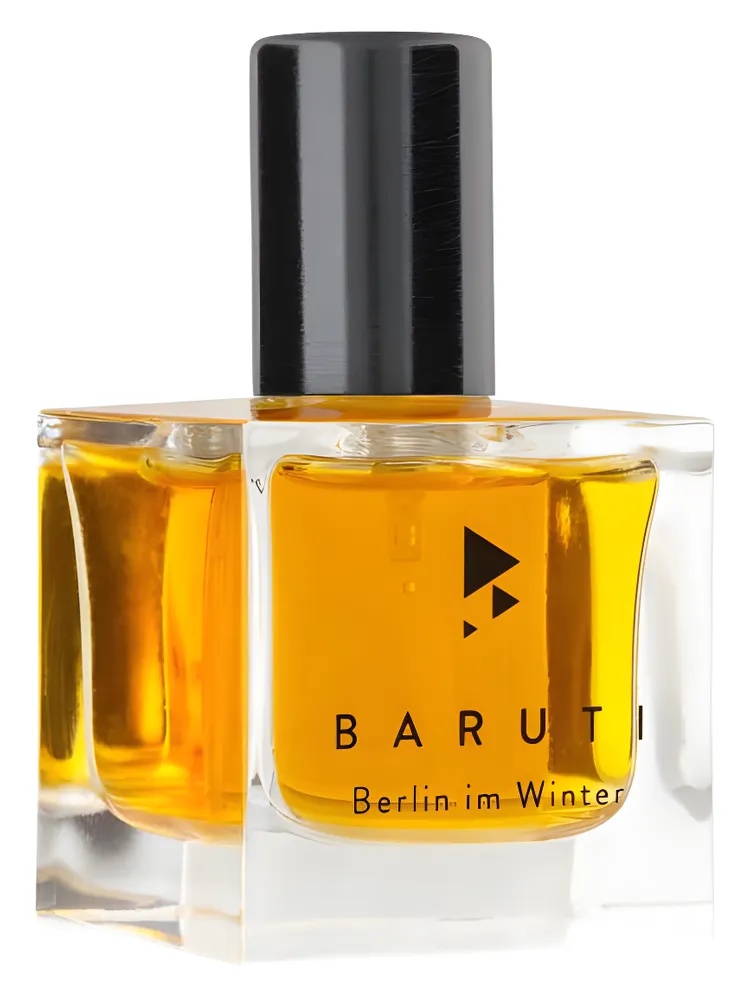 Berlin Im Winter thumbnail 4