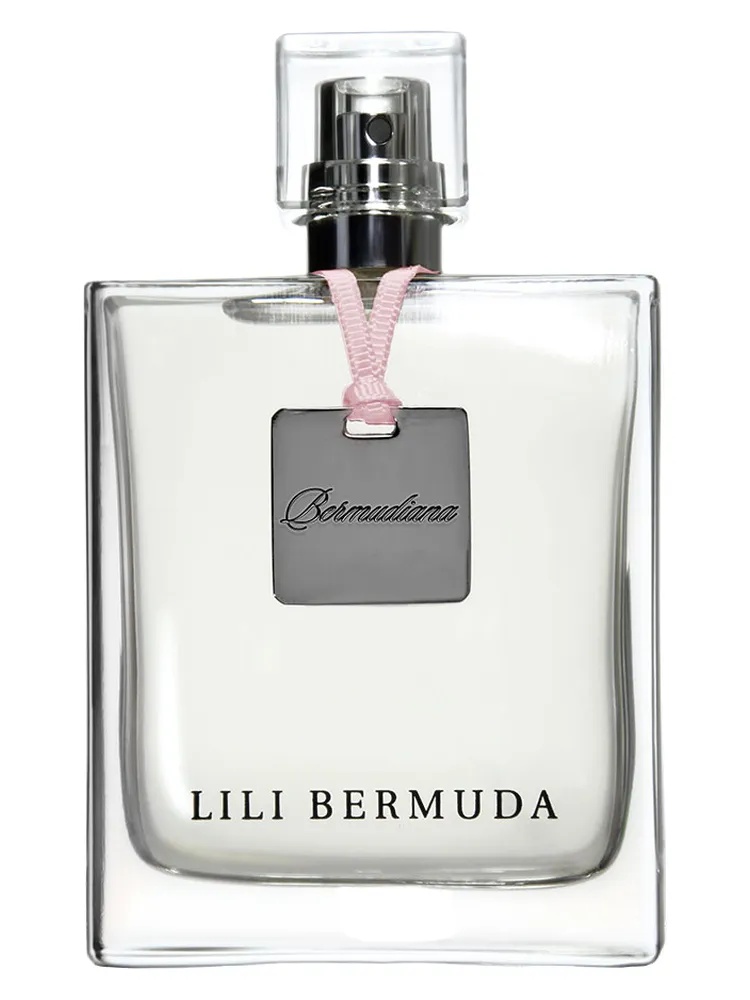 Bermudiana thumbnail 4