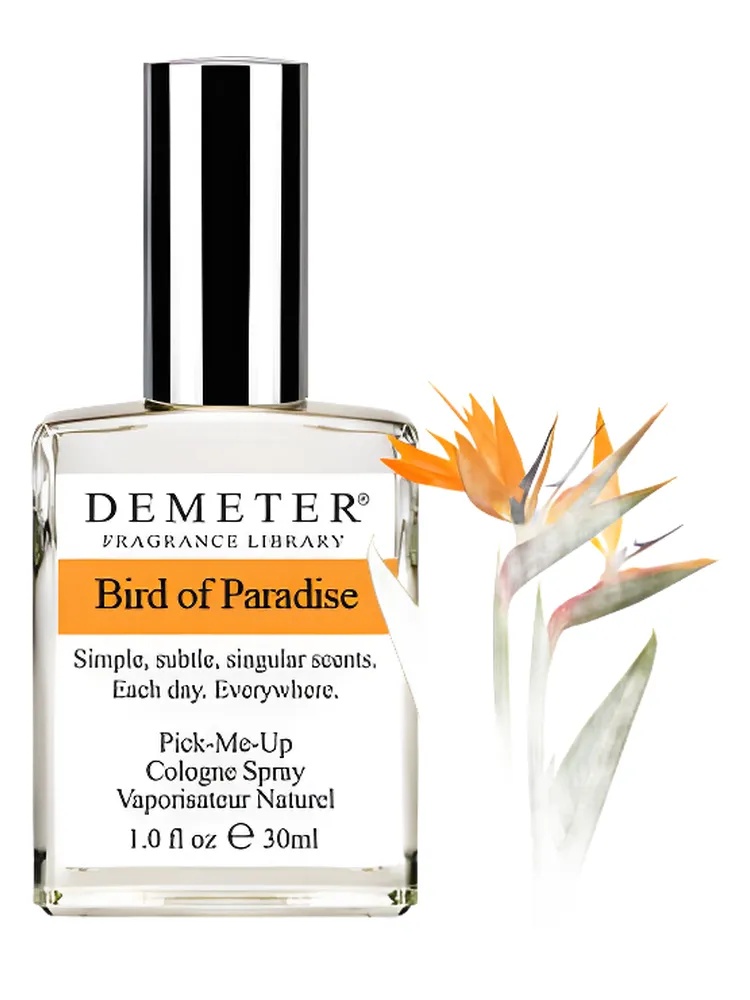 Bird of Paradise thumbnail 4