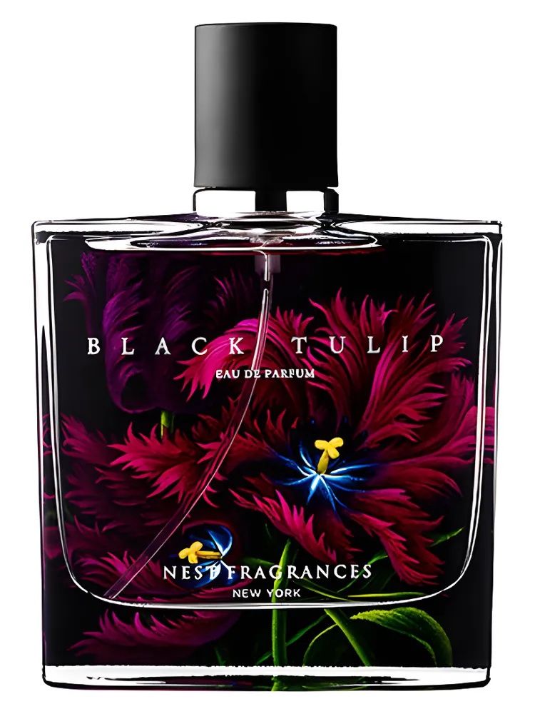Black Tulip thumbnail 4