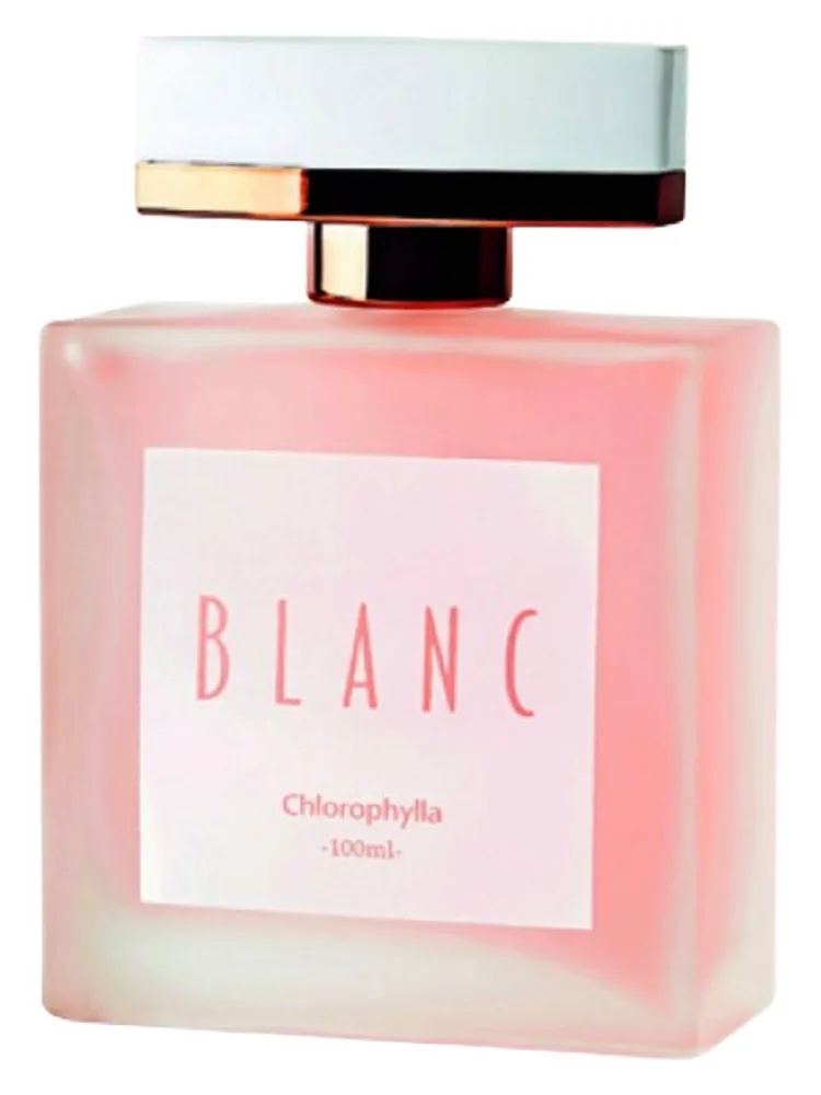 Blanc thumbnail 4
