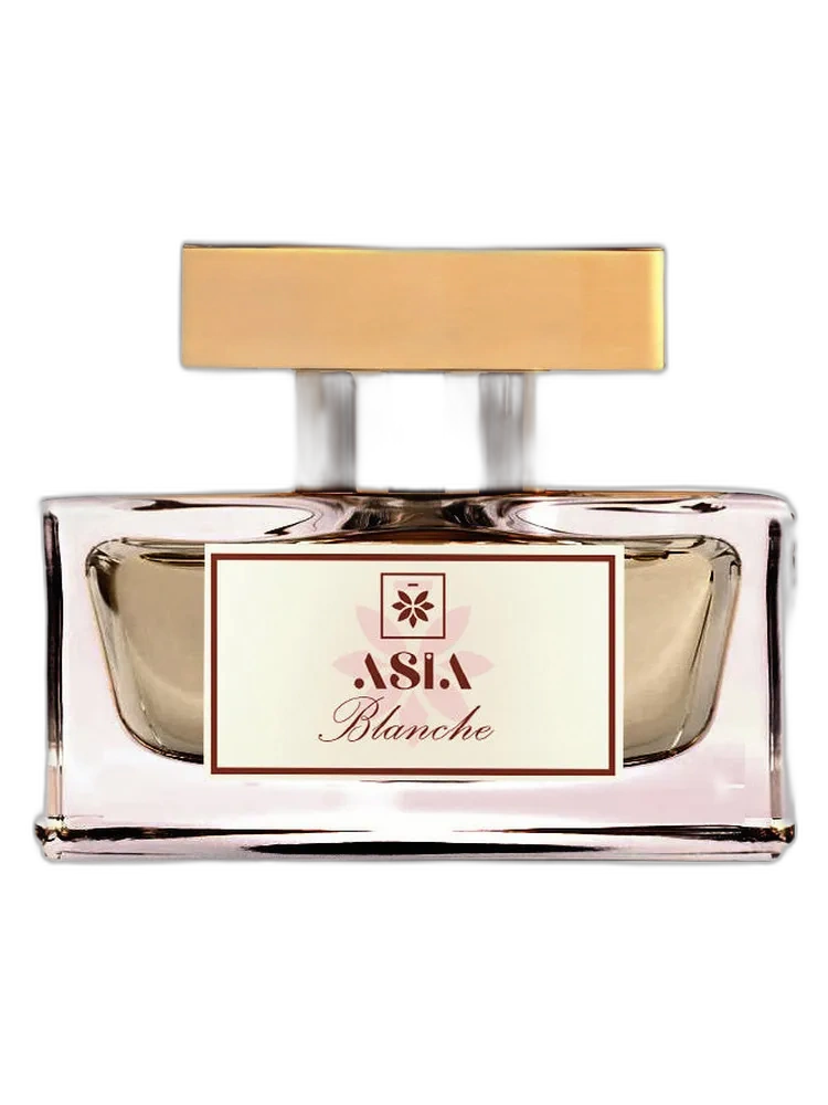 Blanche — Asia Perfumes