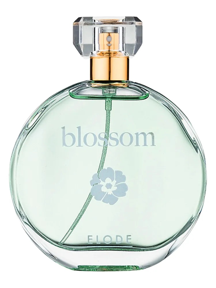 Miniatura 4 de Blossom