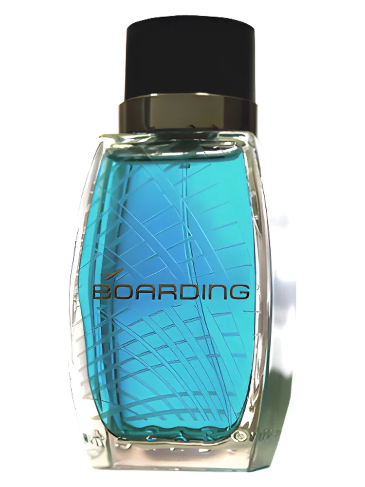 Boarding thumbnail 4