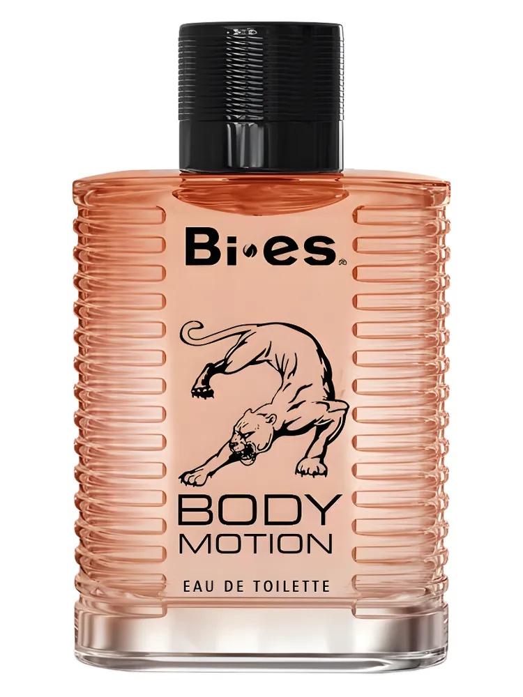 Miniatura 4 de Body Motion