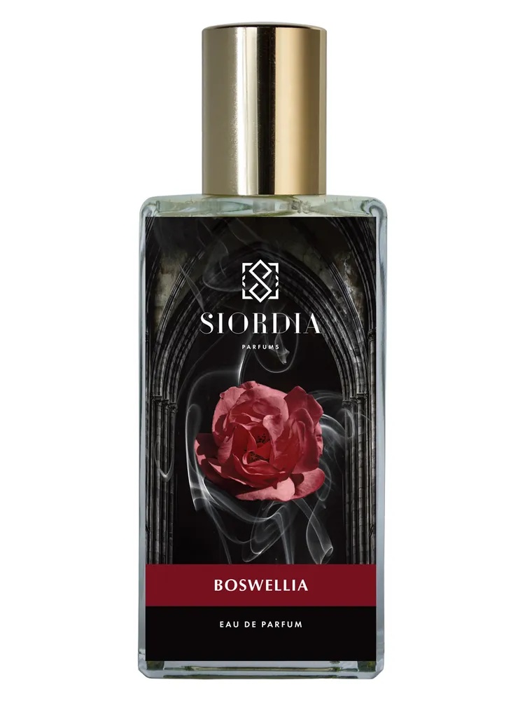 Boswellia thumbnail 4