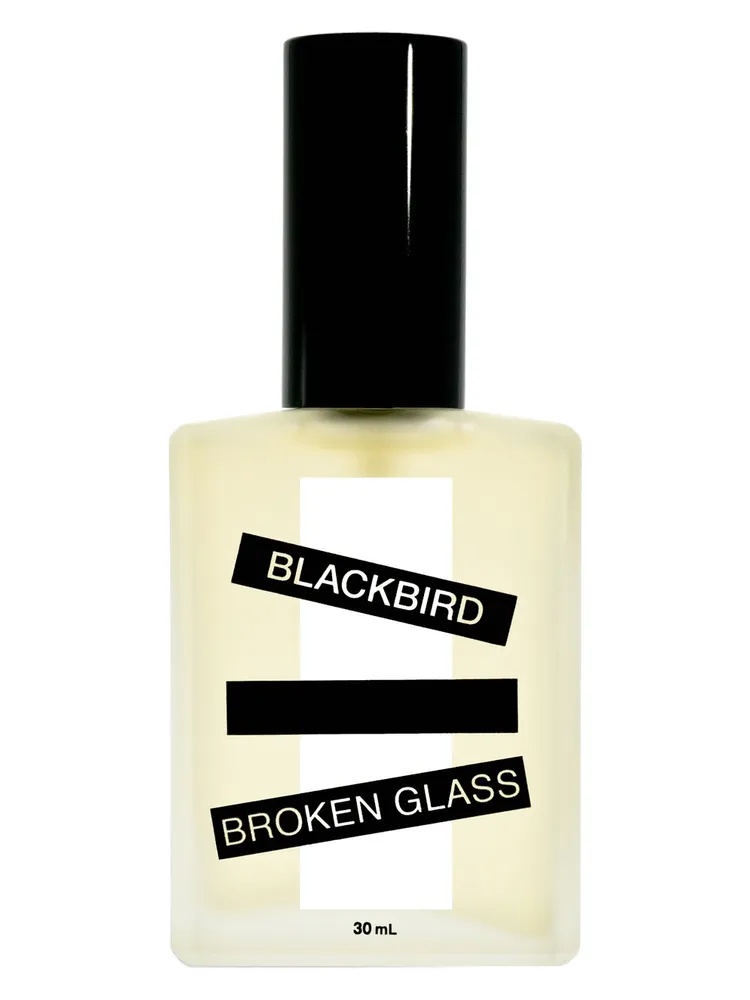 Broken Glass thumbnail 4