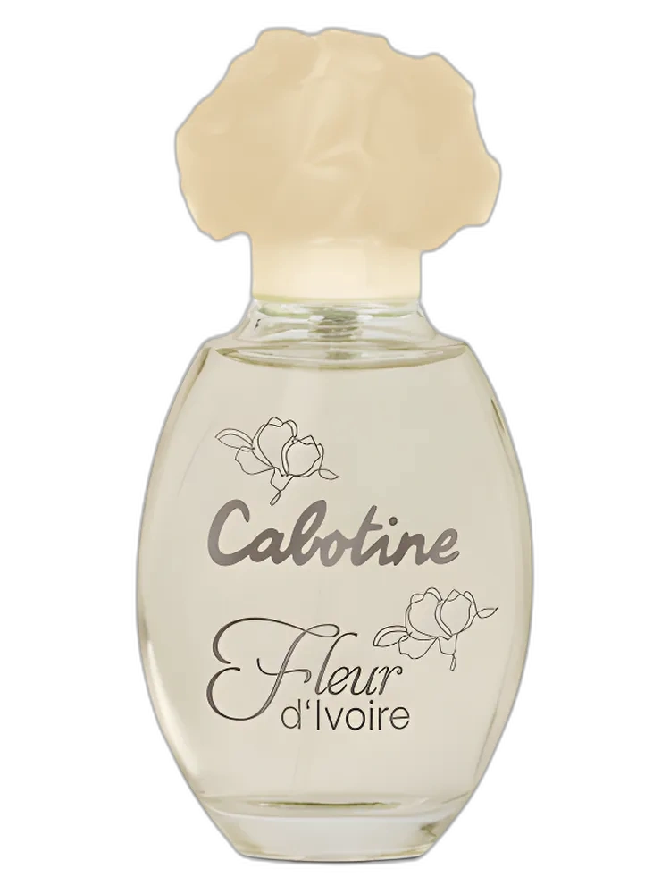 Cabotine Fleur d'Ivoire Gres — Grès