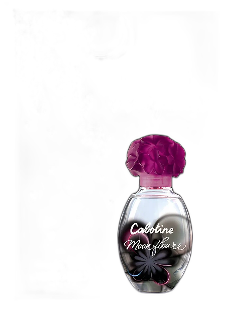 Cabotine Moon Flower Gres — Grès