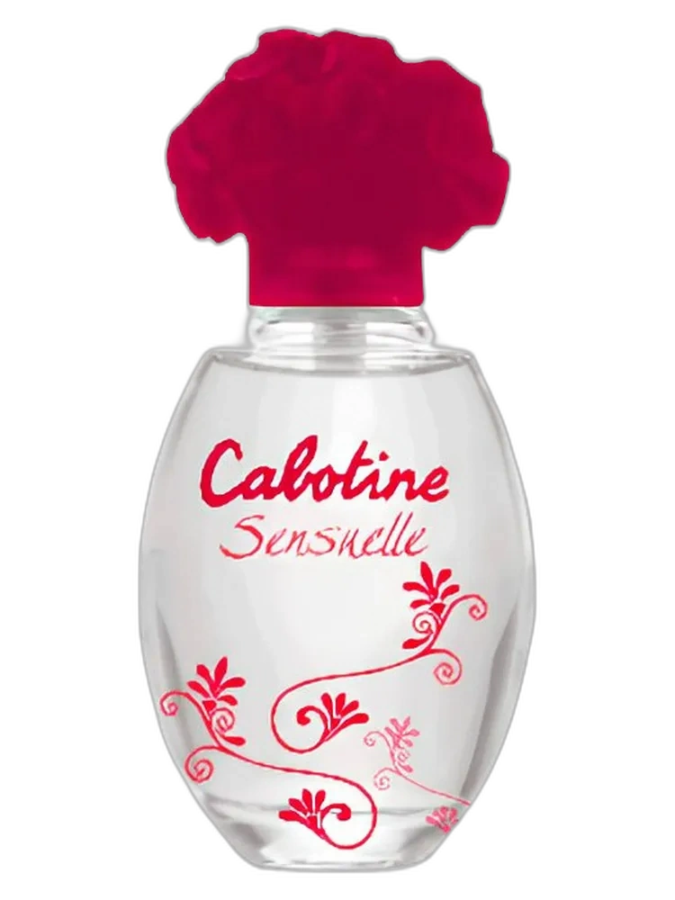 Cabotine Sensuelle Gres — Grès