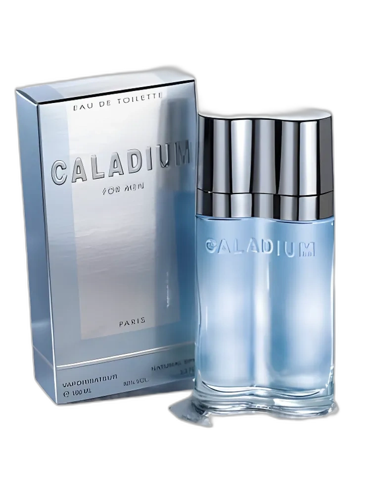 Caladium — Yves de Sistelle