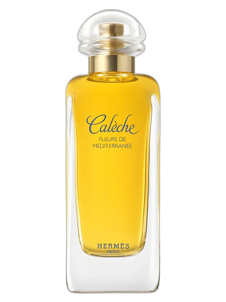 Caleche Fleurs de Mediterranee Hermes — Hermès