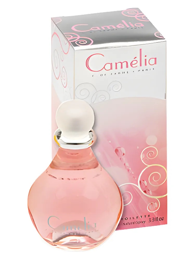 Miniatura 4 de Camelia