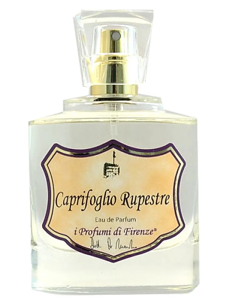 Caprifoglio Rupestre thumbnail 4