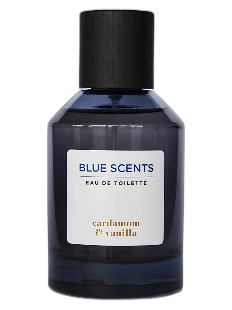 Cardamom & Vanilla — Blue Scents