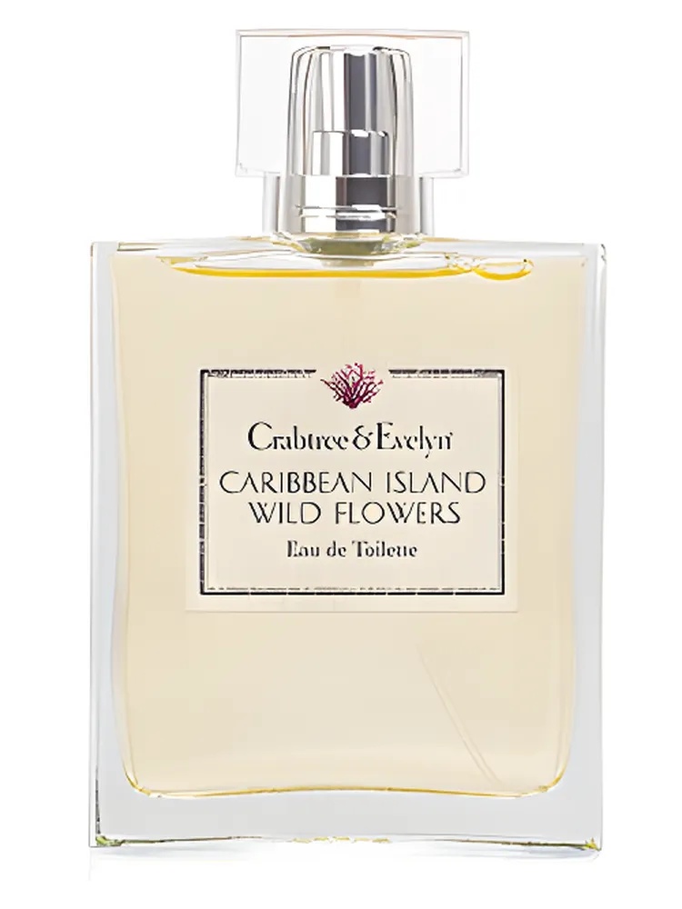 Caribbean Island Wild Flowers  thumbnail 4