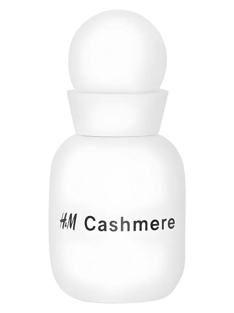 Soft Cashmere thumbnail 4