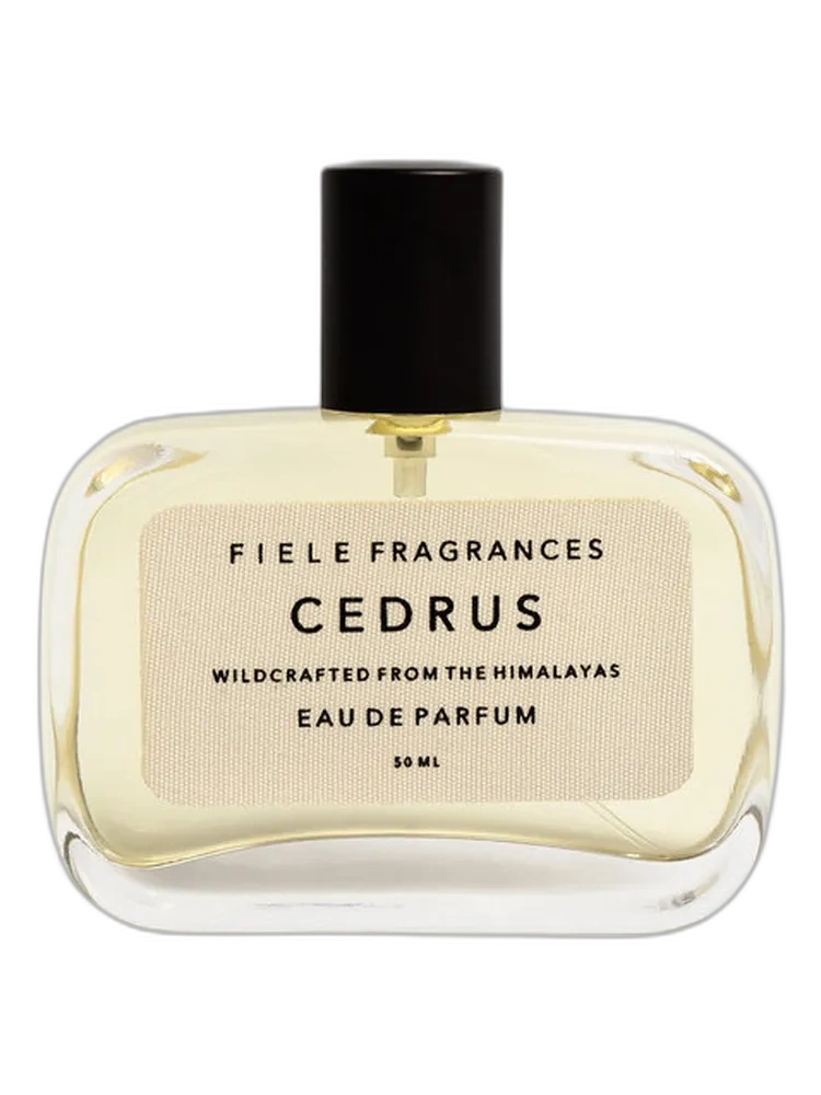 Cedrus unisex — Fiele Fragrances