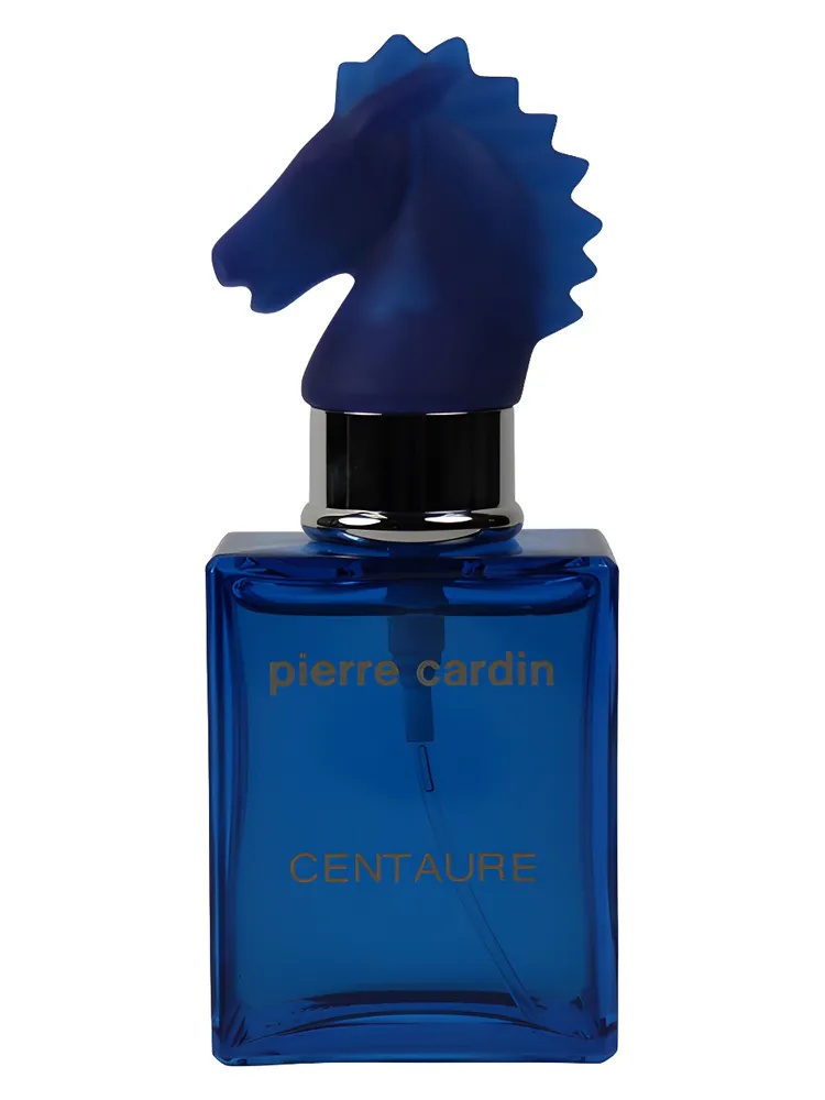 Centaure Cuir Casaque thumbnail 4