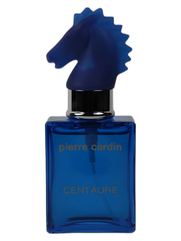 Centaure Cuir Casaque — Pierre Cardin