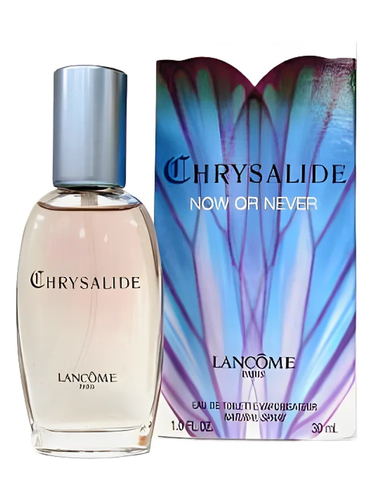 Chrysalide Now or Never thumbnail 4