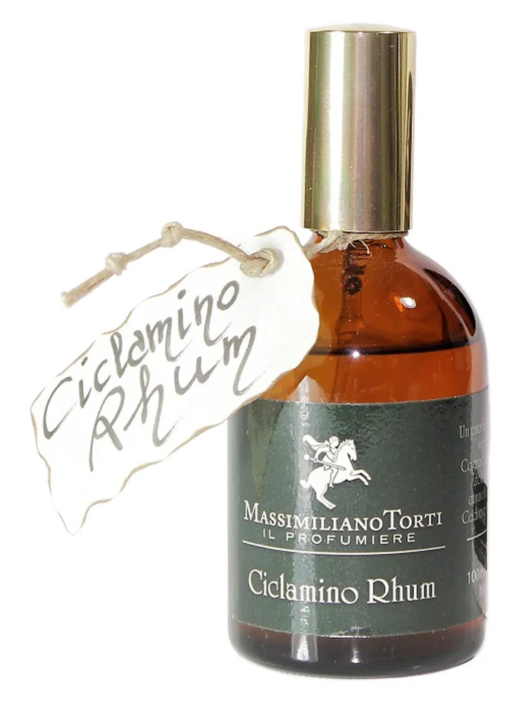 Ciclamino Rhum thumbnail 4