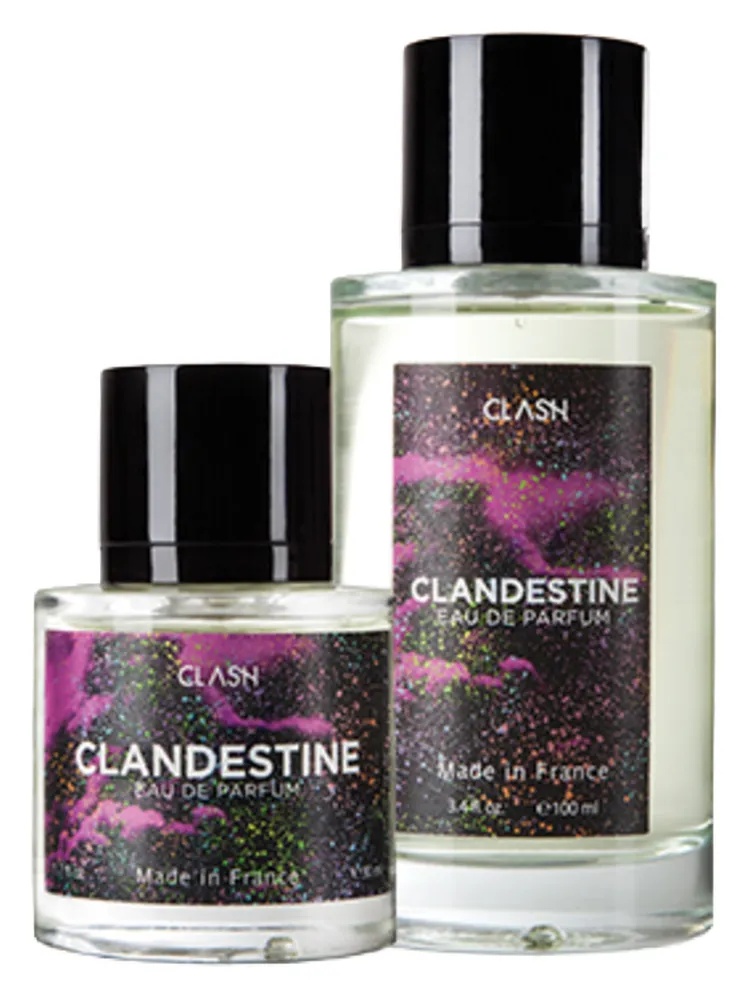 Miniatura 4 de Clandestine