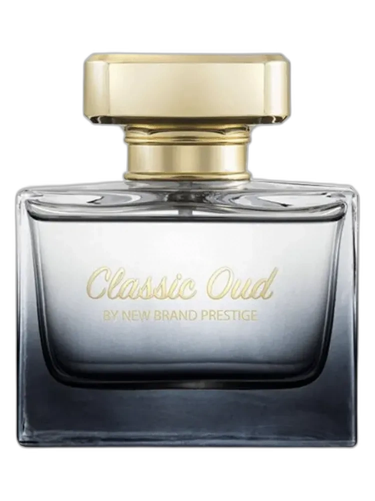 Classic Oud — New Brand Parfums