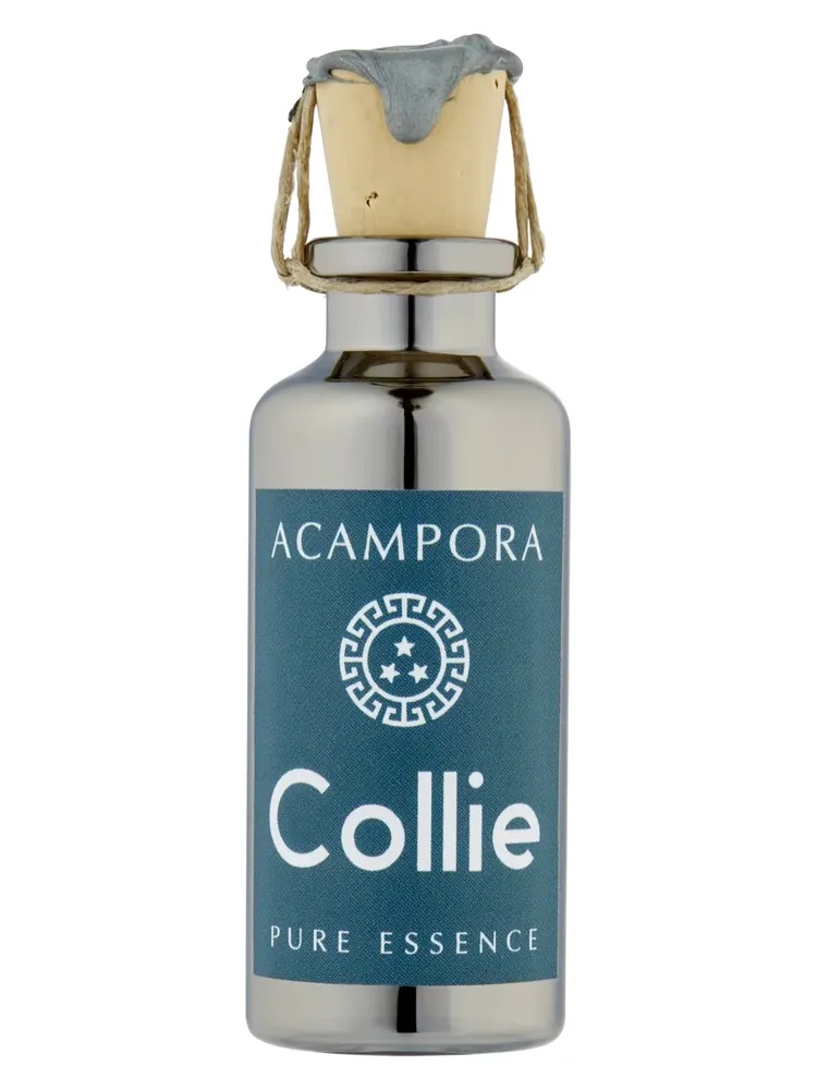 Collie – Pure Essence thumbnail 4