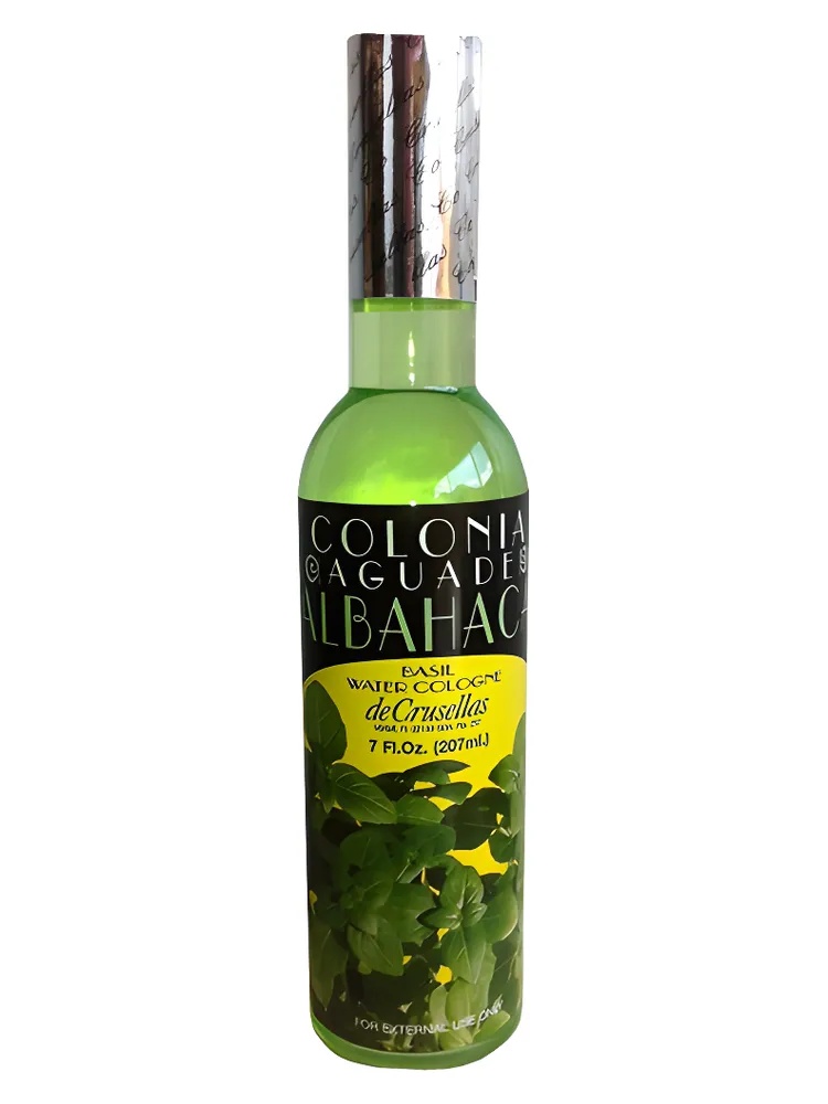 Colonia de Albahaca (Basil) thumbnail 4