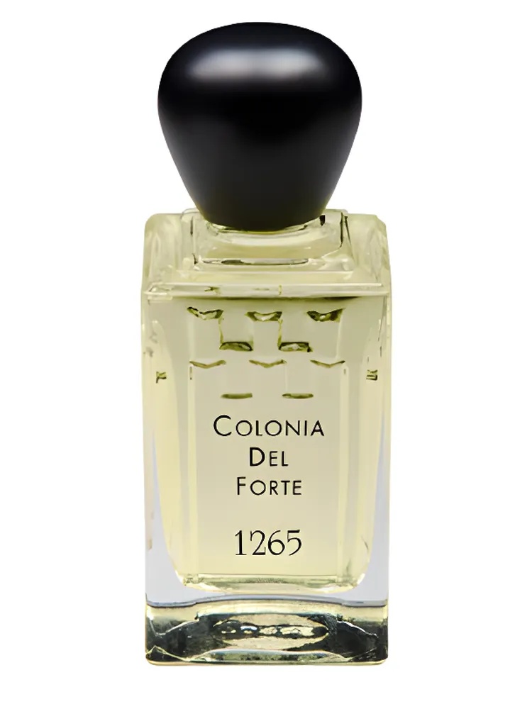 Colonia del Forte 1265 thumbnail 4