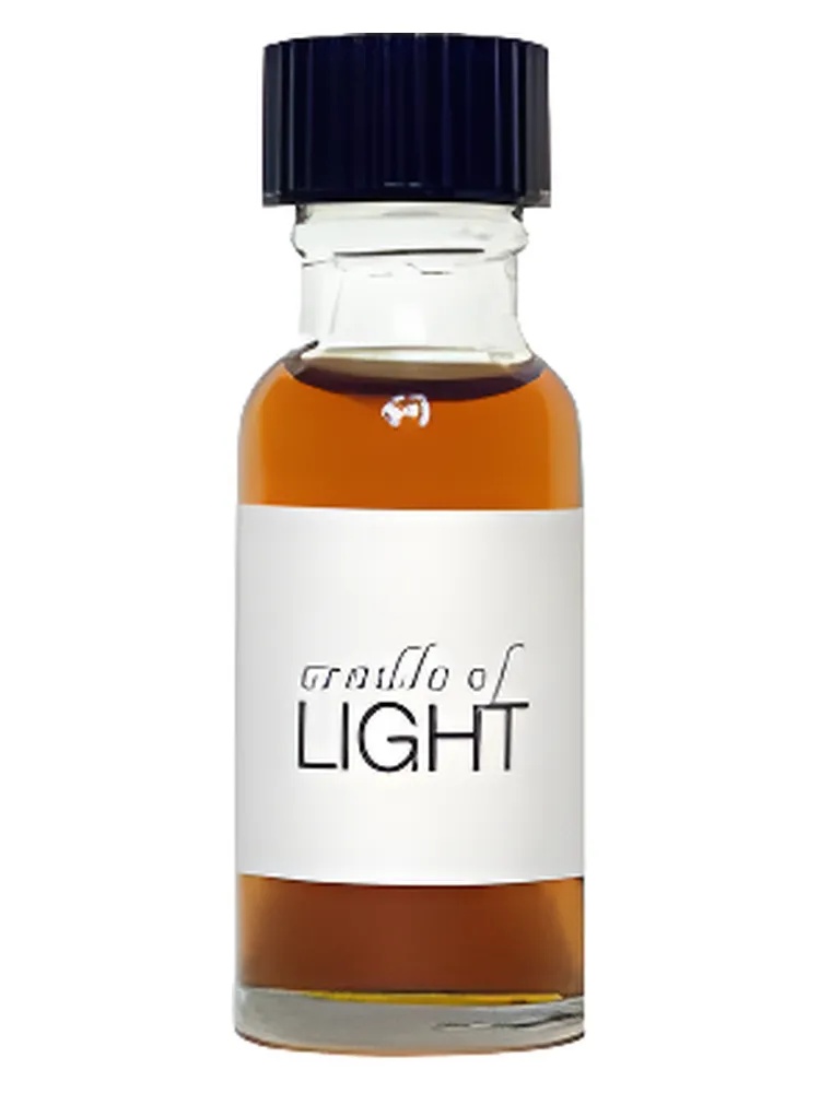 Miniatura 4 de Cradle of Light