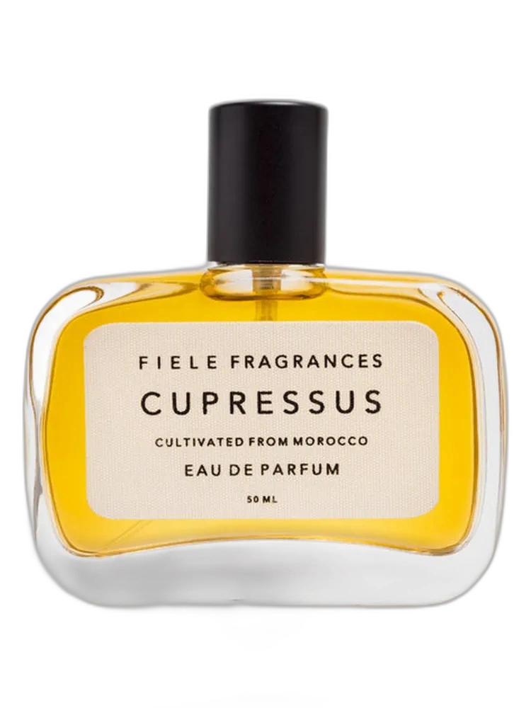 Cupressus unisex — Fiele Fragrances