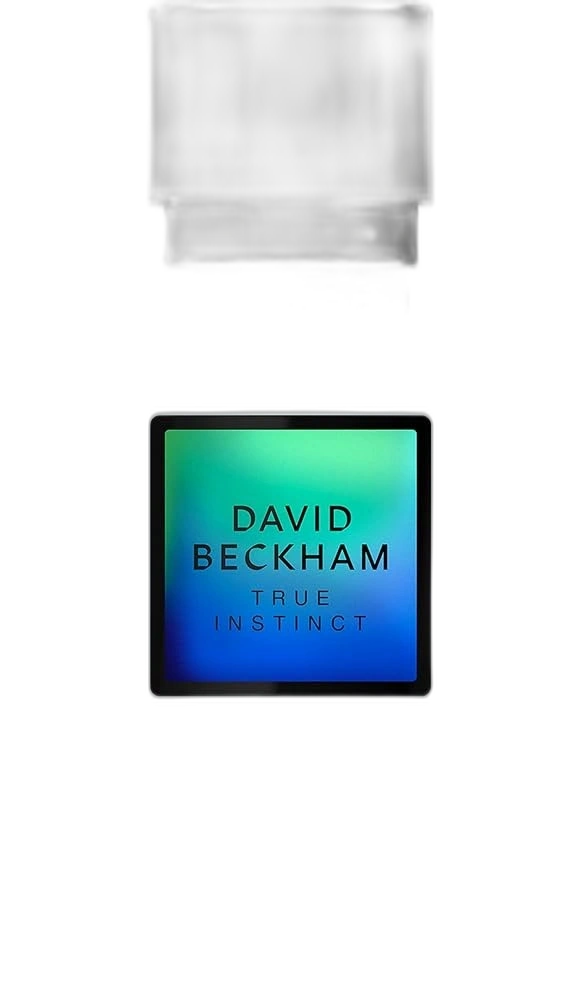 True Instinct — David Beckham